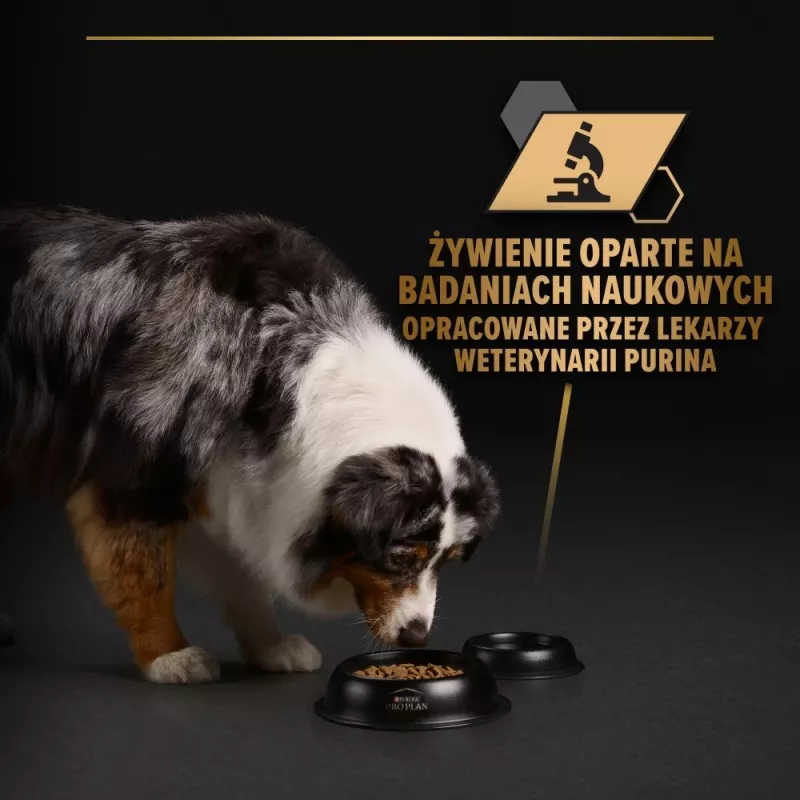PURINA Pro Plan Kasdienė mityba Visų dydžių Suaugusiems Kalakutiena želėje - šlapias šunų ėdalas - 400g