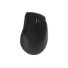 Belaidė optinė pelė Acer Smart Fit HP.EXPBG.020 — 8000 DPI, USB ir Bluetooth