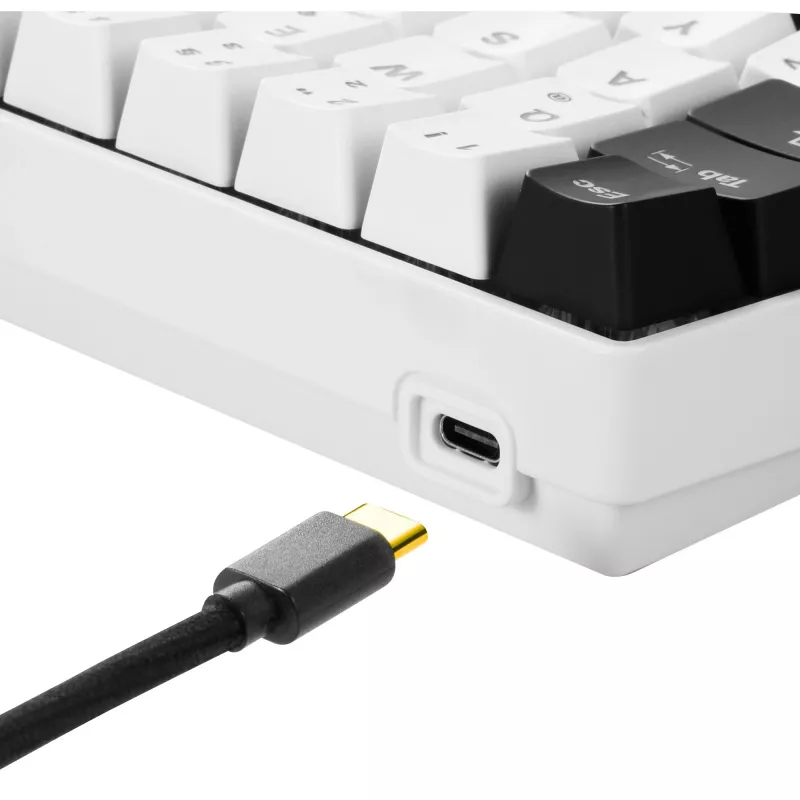 Sharkoon SGK50 S4 klaviatūra žaidimams USB QWERTZ vokiška balta RGB LED