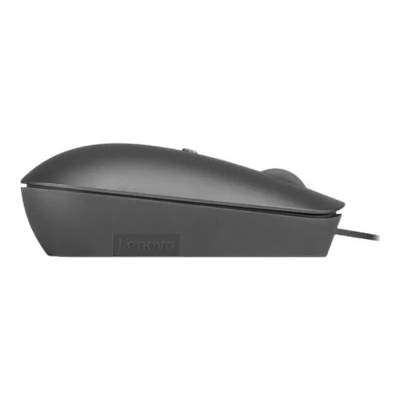 Lenovo 540 pelė Office Ambidextrous USB-C optinė