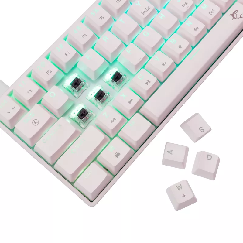 Mechaninė klaviatūra White Shark Shinobi-2 su Brown perjungikliais, US išdėstymas