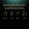SHEBA Nature's Collection Paukštienos skoniai drebučiuose – šlapias kačių ėdalas – 40 x 85 g