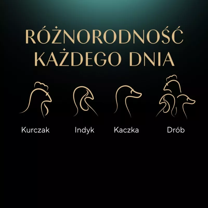 SHEBA Nature's Collection Paukštienos skoniai drebučiuose – šlapias kačių ėdalas – 40 x 85 g