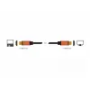 HDMI kabelis DeLOCK 85729 2 m HDMI Type A Standartinis juodas auksinis