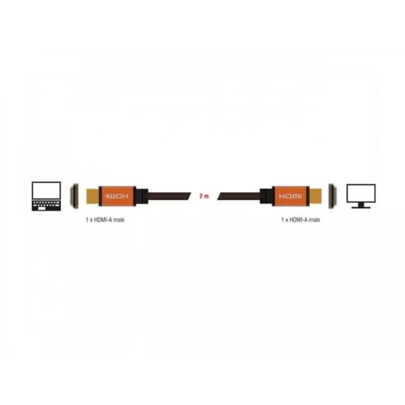 HDMI kabelis DeLOCK 85729 2 m HDMI Type A Standartinis juodas auksinis