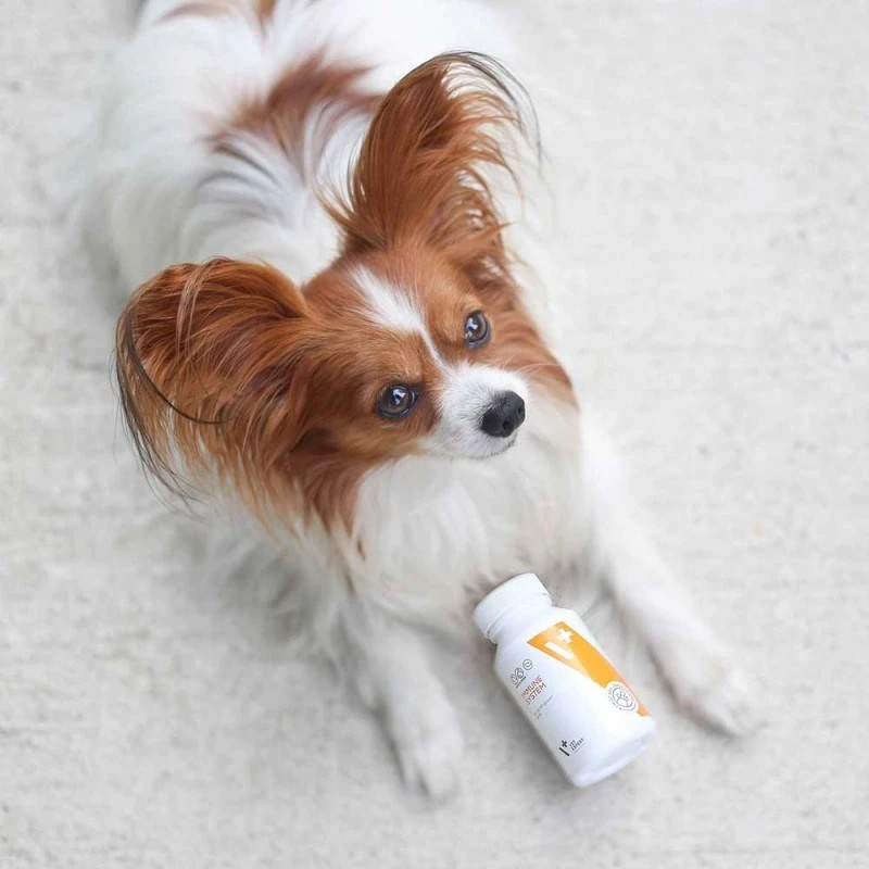VET EXPERT Immune System – imuniteto palaikymo preparatas šunims ir katėms – 30 kaps.