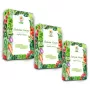Toraf Seed Set - Rinkinys 5X3 2024 Toraf 36X1PCS