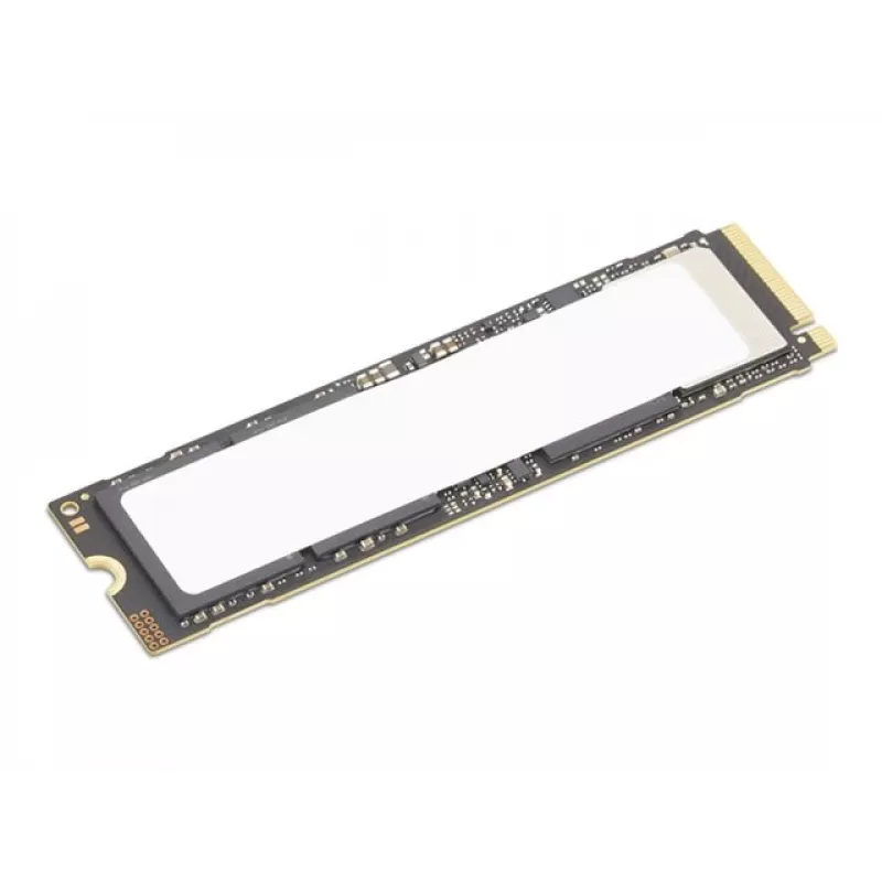Lenovo 4XB1S30112 vidinis kietojo kūno diskas 1 TB M.2 PCI Express 5.0 NVMe