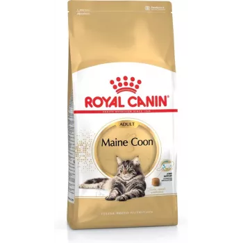 Sausas kačių ėdalas Royal Canin Maine Coon Adult 4 kg – vištiena