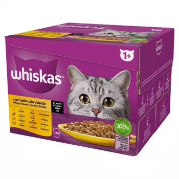 Šlapias kačių ėdalas Whiskas Poultry Feast 24×85 g – suaugusioms katėms, paukštiena (kalakutiena), 24 maišeliai