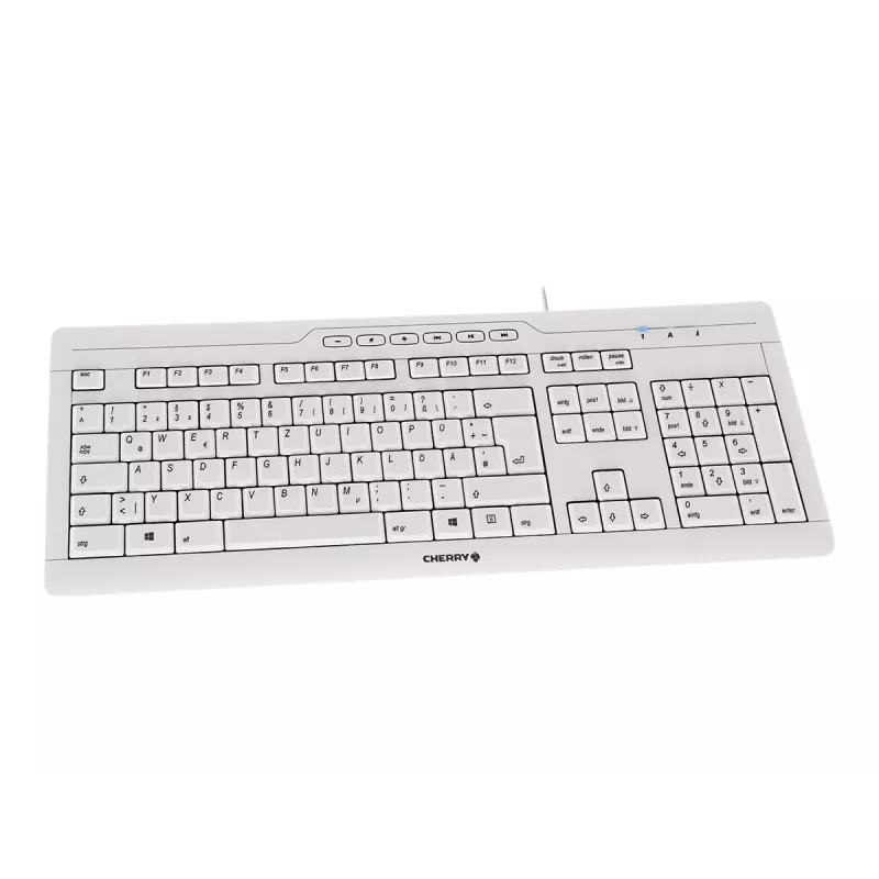 CHERRY STREAM 3.0 klaviatūra biurui USB Swiss Grey