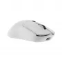 Pelė White Shark GM-9010 MAXIMUS White USB
