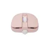 Pelė White Shark GM-9004 Tristan-2 Pink RGB USB