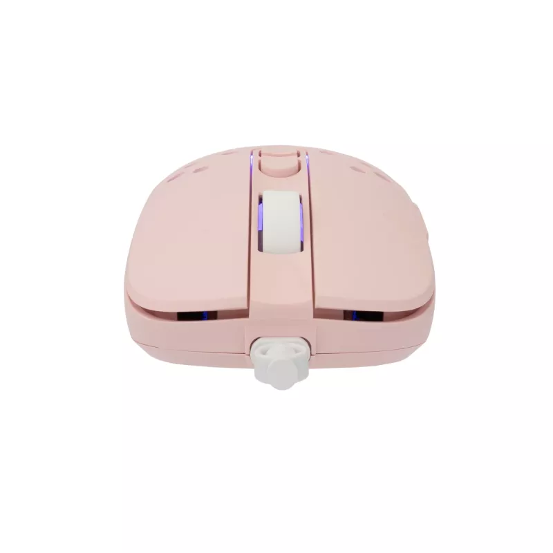 Pelė White Shark GM-9004 Tristan-2 Pink RGB USB