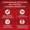 Purina ONE MED/MAX Junior Chicken & Rice 7kg
