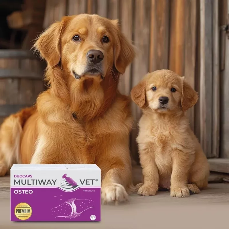 JM Sante Multiway Vet Duocaps Osteo minkštos kapsulės sąnariams suaugusiems šunims ir katėms, 150 g