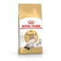 Sausas kačių ėdalas Royal Canin Ragdoll Adult 2 kg – vištiena