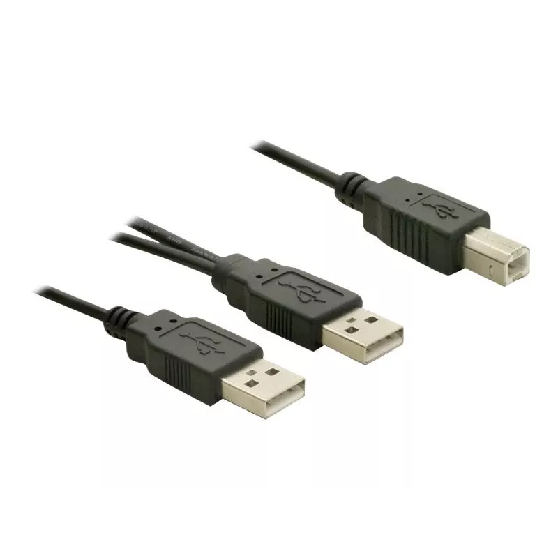 USB laidas DeLOCK USB-B / USB-A 1 m juodas