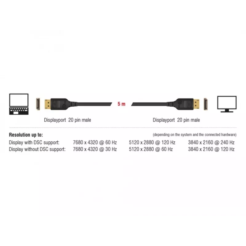 DisplayPort kabelis DeLOCK 85661 3 m Juodas