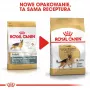 Sausas šunų ėdalas Royal Canin German Shepherd Adult, 11 kg – stambios veislės, paukštiena, 24% baltymų, 19% riebalų