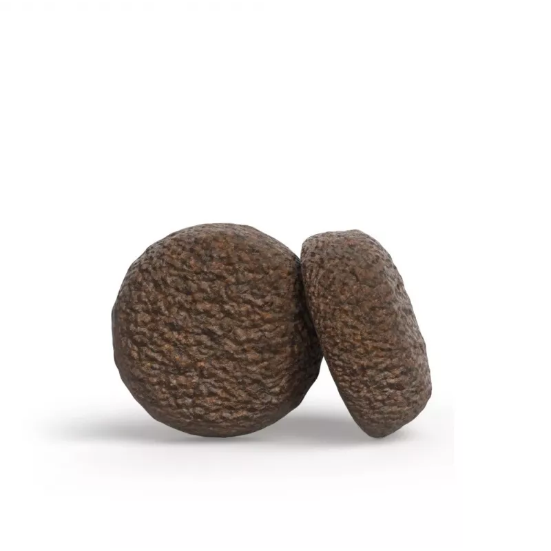 JOSERA YoungStar – sausas šunų ėdalas – 12,5 kg