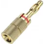 Hama 00205201 kištukas Banana Gold tiesus 4 vnt.