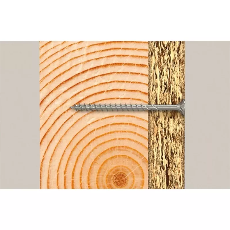 Fischer 670503 originalus gaminys