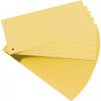 Kartoninis skirtukas Herlitz 10843613
