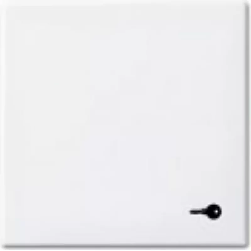 Busch-jaeger 2CKA001731A2012 Baltas
