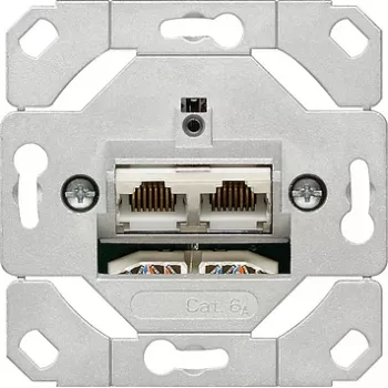 Kištukinis lizdas Gira 245200 — 2×RJ-45 Cat6a, metalinis apdaila