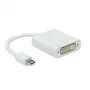 ROLINE Mini DisplayPort–DVI adapteris, Mini DP kištukas – DVI lizdas (12.03.3128)