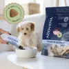 ADDVENA Power of Nature Junior Small Ėriena – sausas šunų ėdalas – 10 kg