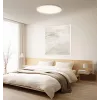 Protinga Xiaomi lubinė šviesa D30 WiFi 30W