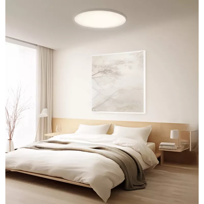 Protinga Xiaomi lubinė šviesa D30 WiFi 30W