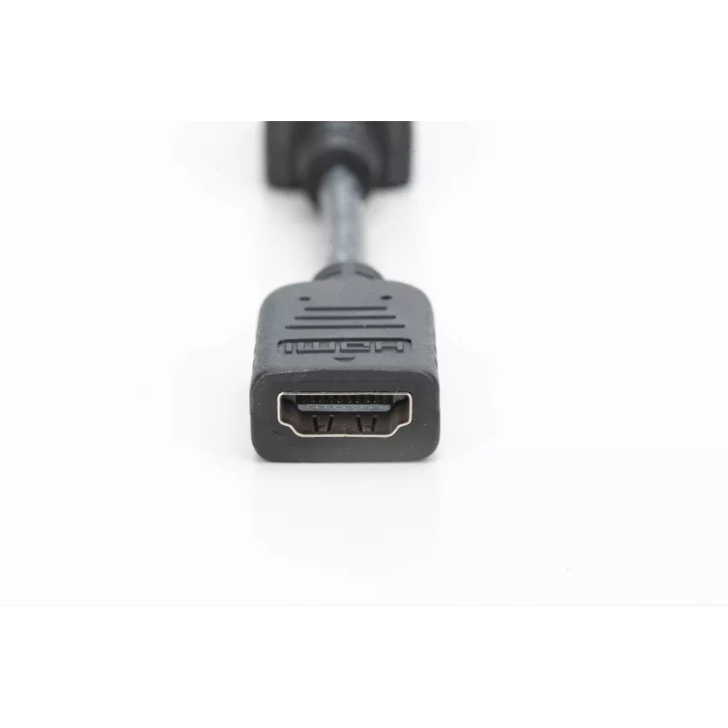 Digitus DisplayPort adapteris / keitiklis