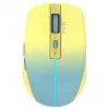 Cian Technology GmbH INCA Mouse IWM-511RS belaidė RGB pelė geltona