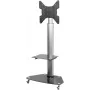Sieninis TV laikiklis SpeaKa Professional SP-TVRW-01 iki 55 colių, VESA 400x400 mm