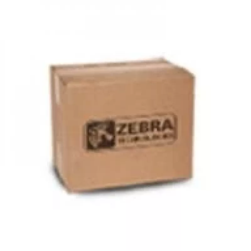 Zebros spausdinimo galvutės valymo rinkinys P1046696-099