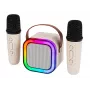 Karaoke garsiakalbis BLOW RGB Bluetooth 30W