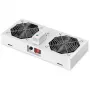 Stogo ventiliacinis blokas DIGITUS DN-19 FAN-2-WM-T 19 inch 276 m³/h