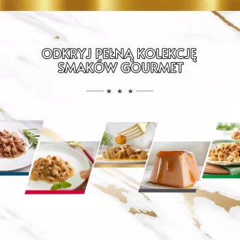 Šlapio maisto kačių multipakas Purina Nestlé Gourmet Gold Mus Mix 48×85 g skirtingų skonių