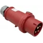 Kištukas CEE 32 A 4-polių 400 V AS Schwabe 60572