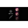 LED neoninis veidrodžio apšvietimas MANTA MASNL130PK Style Neon Lights BEAUTY, rožinis akcentas