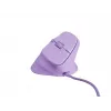 NATEC Crake 2 Pro pelė, vertikali, dešinei rankai, USB-A, optinė, 12800 DPI, violetinė