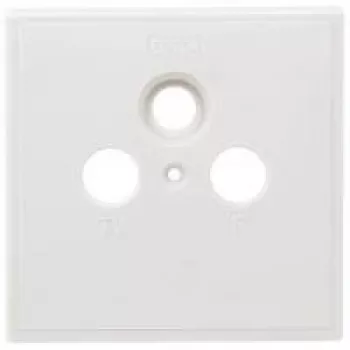 Axing SZU 2-01 kištukinių lizdų dengiamoji plokštelė – 80x80 mm, tinka BSD 963-xx (SZU 2-01)