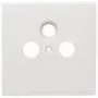 Axing SZU 2-01 kištukinių lizdų dengiamoji plokštelė – 80x80 mm, tinka BSD 963-xx (SZU 2-01)