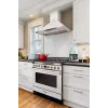 SMEG skrudintuvas TSF03PGEU pastelinė žalia