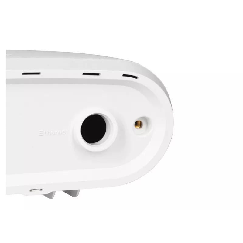 Zyxel ACCESSORY-ZZ0102F apsauginis dangtelis belaidžiam prieigos taškui