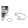 Lenovo GXD1E71385 ausinės / headset laidinės Skambučiai/Muzika USB Type-A Pilka