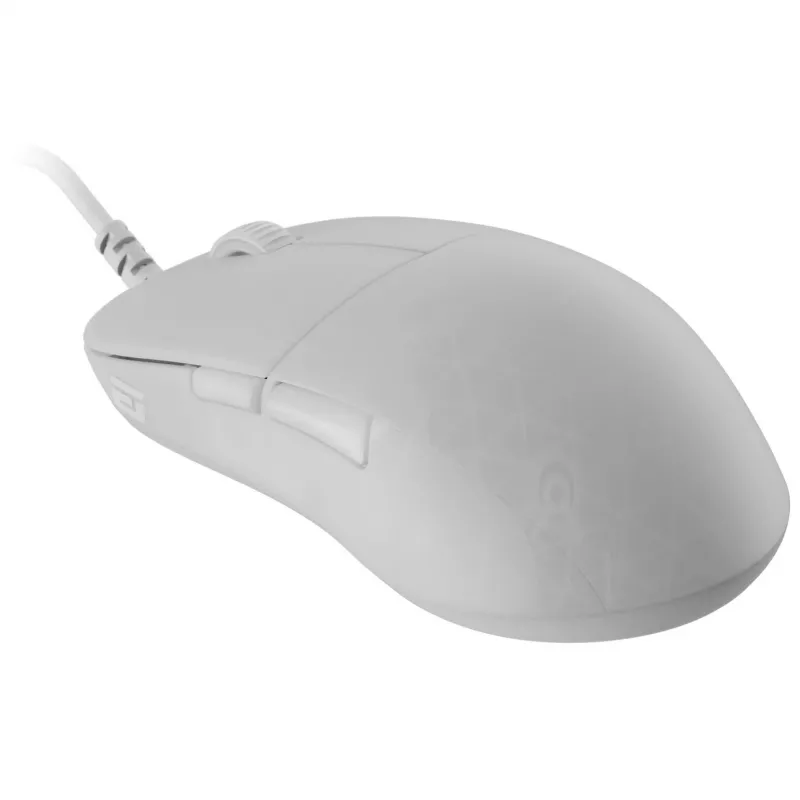 Pelė Endgame Gear XM2 8k Wired